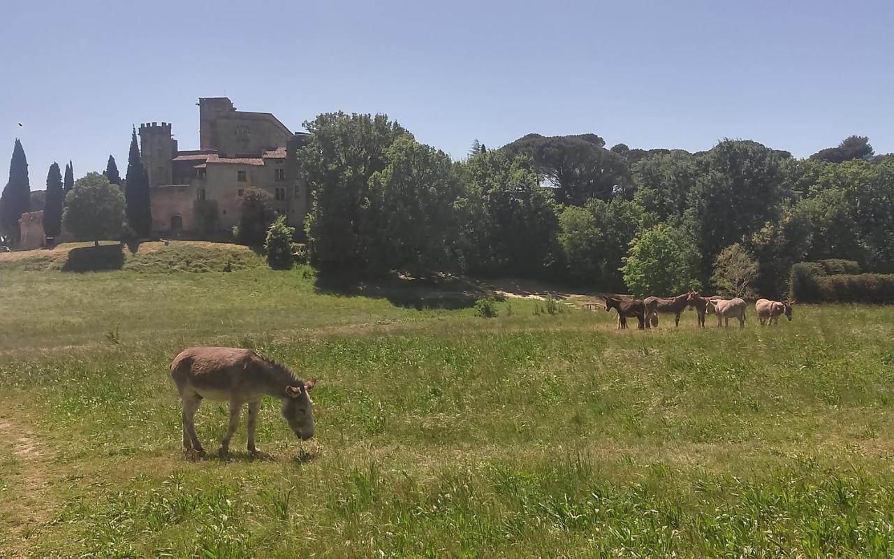 Une Chambre En Luberon Puyvert ภายนอก รูปภาพ