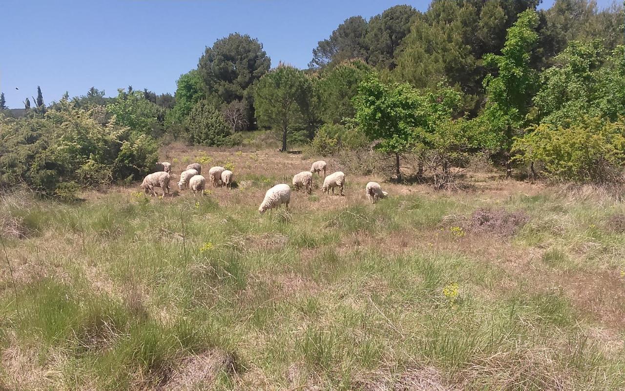 Une Chambre En Luberon Puyvert ภายนอก รูปภาพ